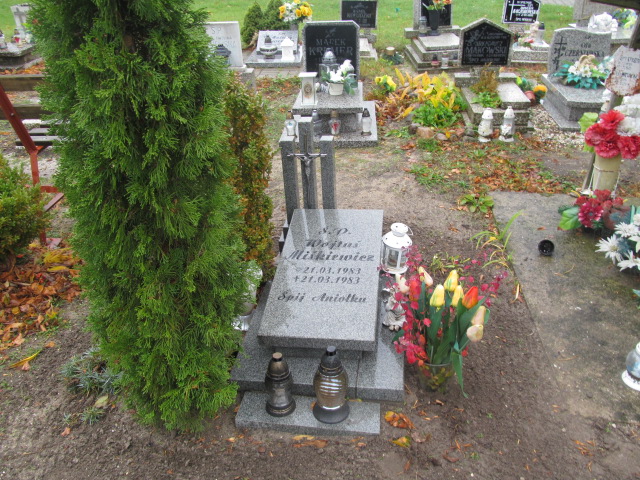 Grób Wojciech Miśkiewicz